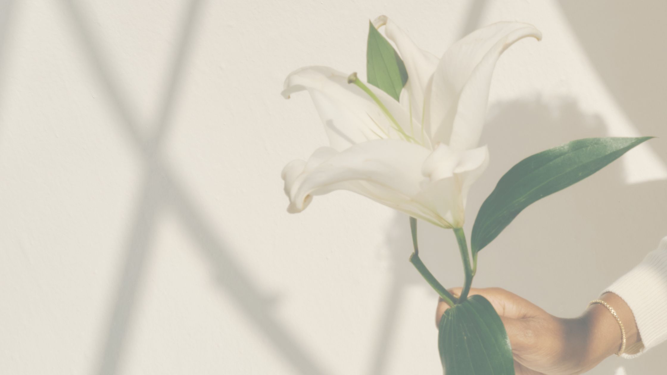 terapia familiar en barcelona